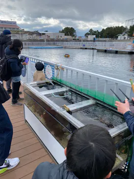 横浜・八景島シーパラダイスに投稿された画像（2021/12/31）