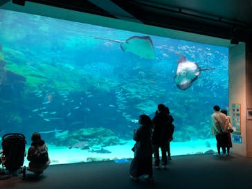九十九島水族館海きららに投稿された画像（2021/12/31）
