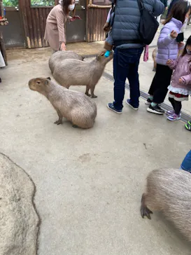 神戸どうぶつ王国に投稿された画像（2021/12/31）