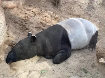 神戸どうぶつ王国に投稿された画像（2021/12/31）