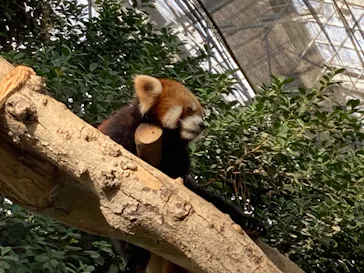 神戸どうぶつ王国に投稿された画像（2021/12/31）