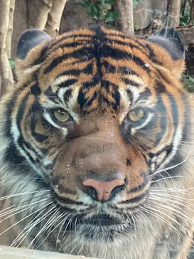 神戸どうぶつ王国に投稿された画像（2021/12/31）