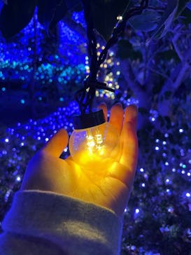 江の島シーキャンドルに投稿された画像（2021/12/31）