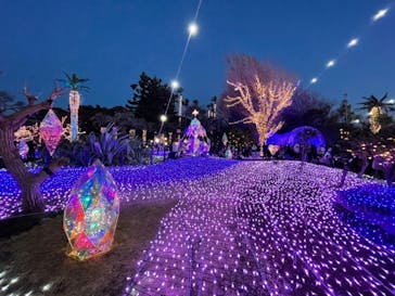 江の島シーキャンドルに投稿された画像（2021/12/31）