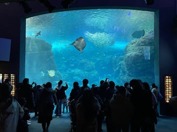 新江ノ島水族館に投稿された画像（2021/12/31）