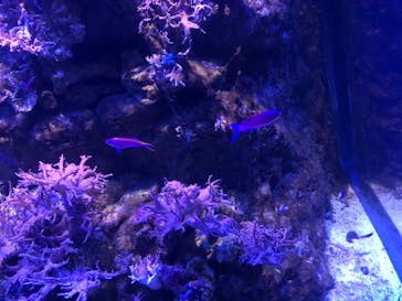 名古屋港水族館に投稿された画像（2021/12/31）