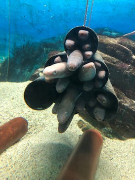 株式会社Gに投稿された画像（2021/12/31）