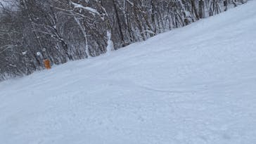 スプリングバレー仙台泉スキー場に投稿された画像（2021/12/31）