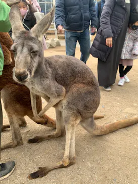 神戸どうぶつ王国に投稿された画像（2021/12/31）