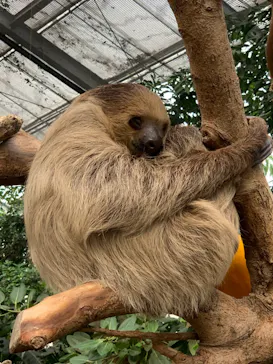 神戸どうぶつ王国に投稿された画像（2021/12/31）
