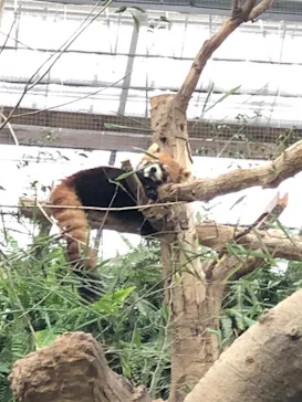 神戸どうぶつ王国に投稿された画像（2021/12/31）