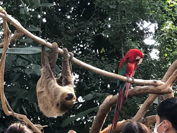 神戸どうぶつ王国に投稿された画像（2021/12/31）