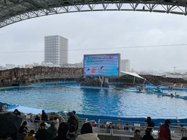 名古屋港水族館に投稿された画像（2021/12/31）