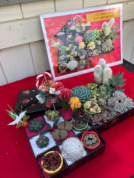 伊豆シャボテン動物公園に投稿された画像（2021/12/31）