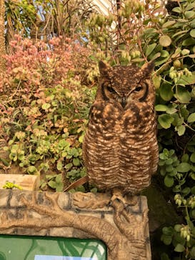 伊豆シャボテン動物公園に投稿された画像（2021/12/31）