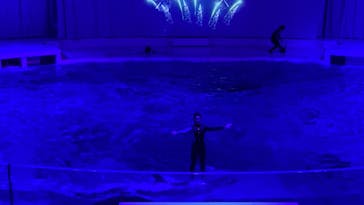 アクアワールド茨城県大洗水族館に投稿された画像（2021/12/31）