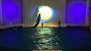 アクアワールド茨城県大洗水族館に投稿された画像（2021/12/31）