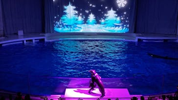 アクアワールド茨城県大洗水族館に投稿された画像（2021/12/31）