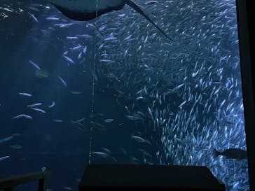 南知多ビーチランド＆南知多おもちゃ王国に投稿された画像（2021/12/31）