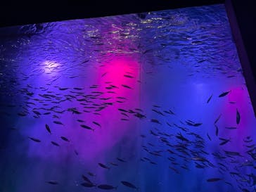 南知多ビーチランド＆南知多おもちゃ王国に投稿された画像（2021/12/31）