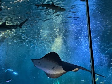 南知多ビーチランド＆南知多おもちゃ王国に投稿された画像（2021/12/31）