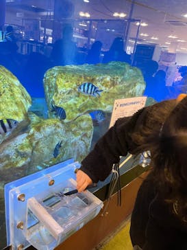 南知多ビーチランド＆南知多おもちゃ王国に投稿された画像（2021/12/31）