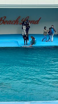 南知多ビーチランド＆南知多おもちゃ王国に投稿された画像（2021/12/31）