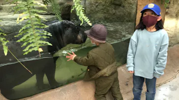 神戸どうぶつ王国に投稿された画像（2021/12/31）