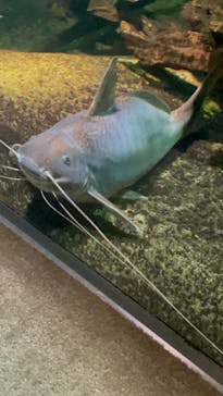 サンシャイン水族館に投稿された画像（2021/12/31）