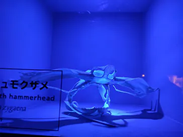 横浜・八景島シーパラダイスに投稿された画像（2021/12/31）