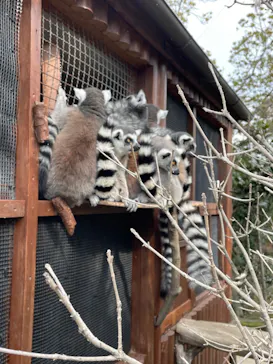 神戸どうぶつ王国に投稿された画像（2021/12/31）