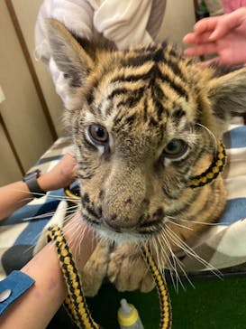 しろとり動物園に投稿された画像（2021/12/31）