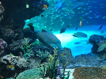 サンシャイン水族館に投稿された画像（2021/12/31）