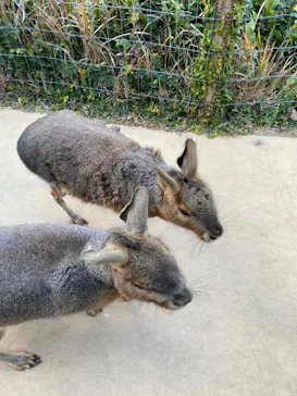 横浜・八景島シーパラダイスに投稿された画像（2021/12/31）