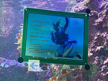 サンシャイン水族館に投稿された画像（2021/12/31）