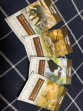 神戸どうぶつ王国に投稿された画像（2021/12/31）