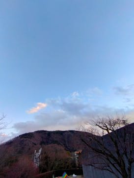 彫刻の森美術館に投稿された画像（2021/12/31）