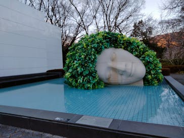 彫刻の森美術館に投稿された画像（2021/12/31）