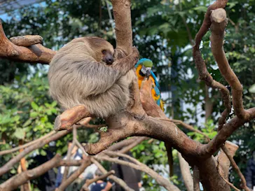 神戸どうぶつ王国に投稿された画像（2021/12/31）