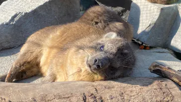 神戸どうぶつ王国に投稿された画像（2021/12/31）