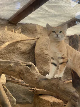 神戸どうぶつ王国に投稿された画像（2021/12/31）