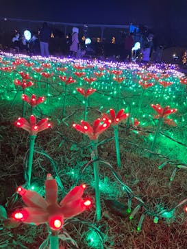 東武動物公園に投稿された画像（2021/12/31）