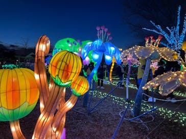 東武動物公園に投稿された画像（2021/12/31）