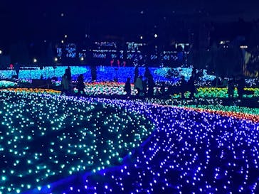 東武動物公園に投稿された画像（2021/12/31）