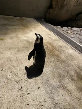 横浜・八景島シーパラダイスに投稿された画像（2021/12/31）