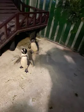 横浜・八景島シーパラダイスに投稿された画像（2021/12/31）