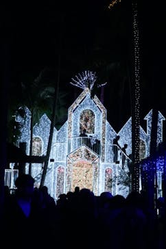 美らヤシパークオキナワ・東南植物楽園に投稿された画像（2021/12/31）