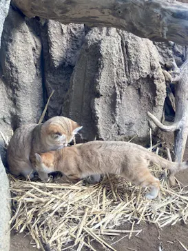 神戸どうぶつ王国に投稿された画像（2021/12/31）