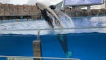 名古屋港水族館に投稿された画像（2021/12/31）