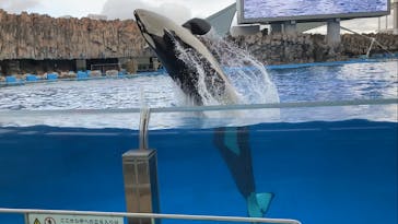 名古屋港水族館に投稿された画像（2021/12/31）